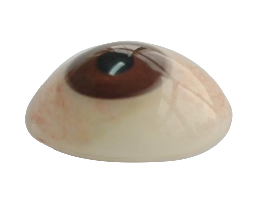 铜仁微雕义眼定制